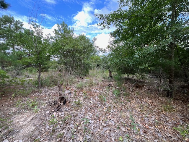 Tbd County Road Bastrop, TX 78602 - Photo 6 of 10 a view of a forest with trees in the background