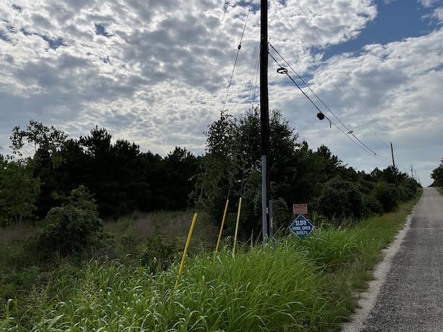 Tbd County Road Bastrop, TX 78602 - Photo 8 of 10 a view of a garden