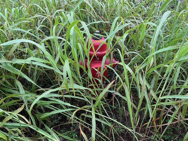 Tbd County Road Bastrop, TX 78602 - Photo 10 of 10 unknown