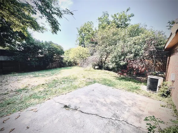 a view of a yard with plants and trees