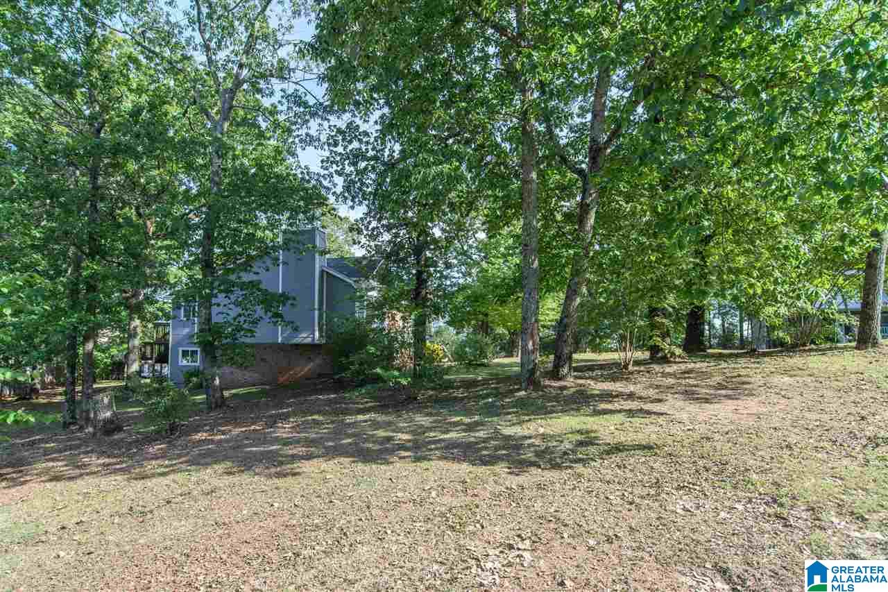 3829 South Shades Crest Road Birmingham, AL 35244 - Photo 47 of 50