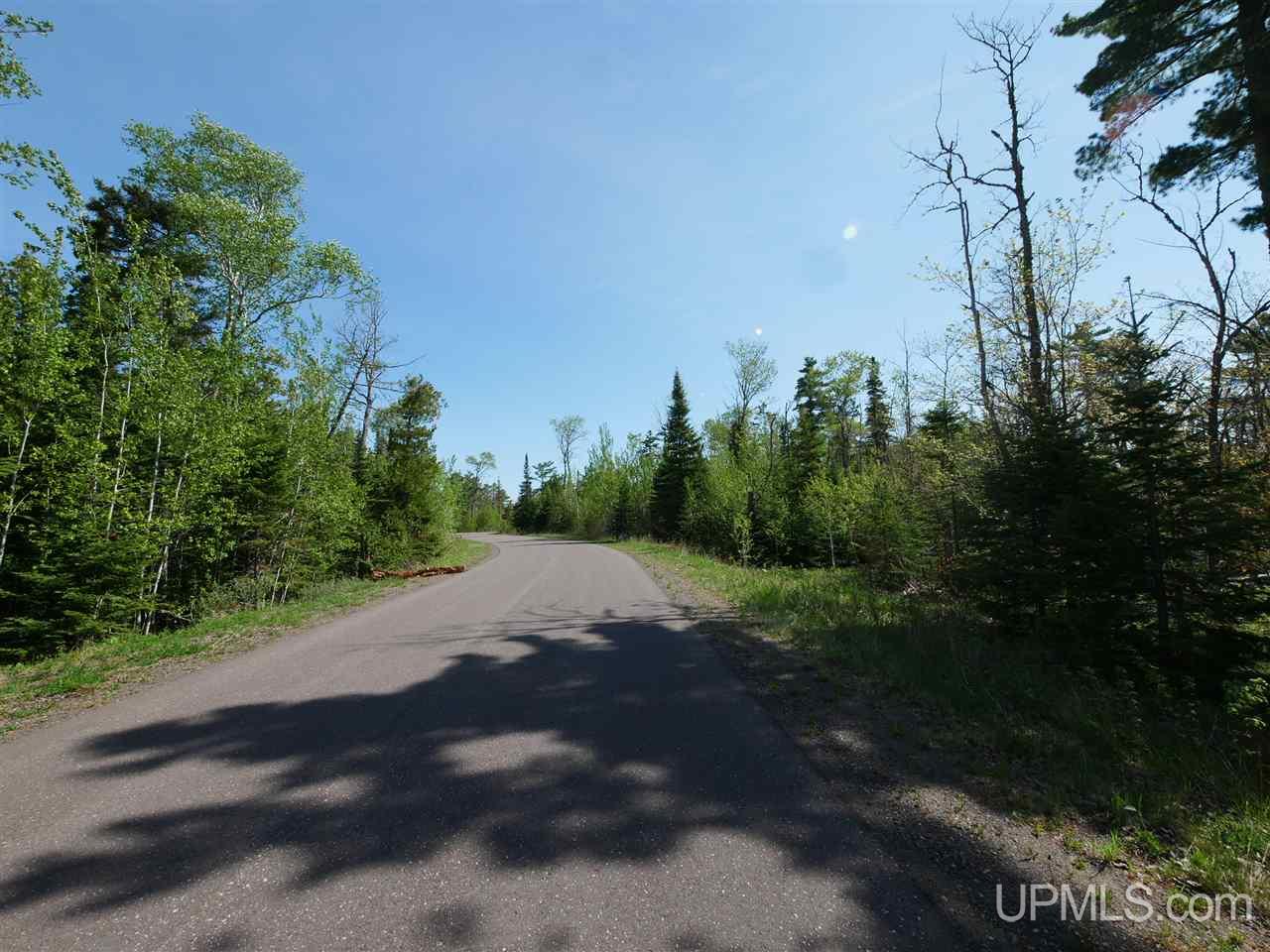 44 North Coast Road Copper Harbor, MI 49918 - Photo 8 of 10
