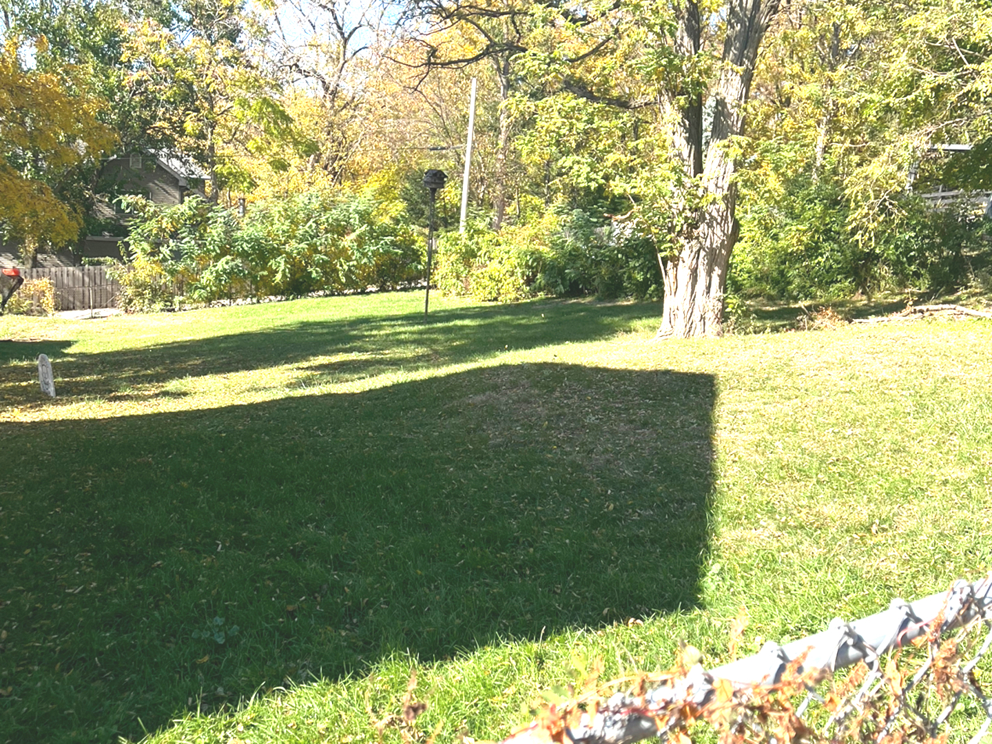 a view of yard with green space