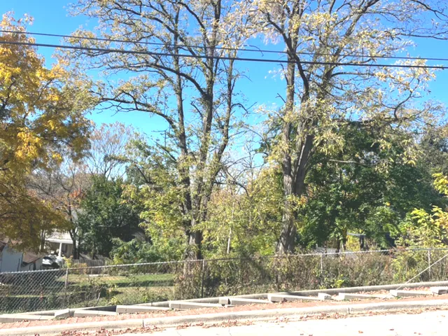 a view of a yard and tree s