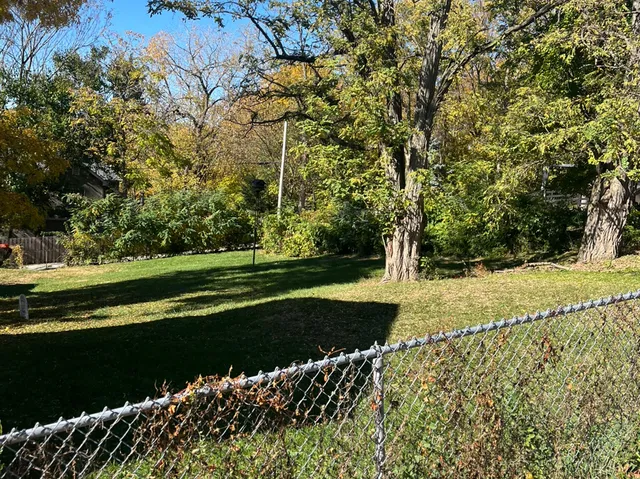 a view of a park with large trees