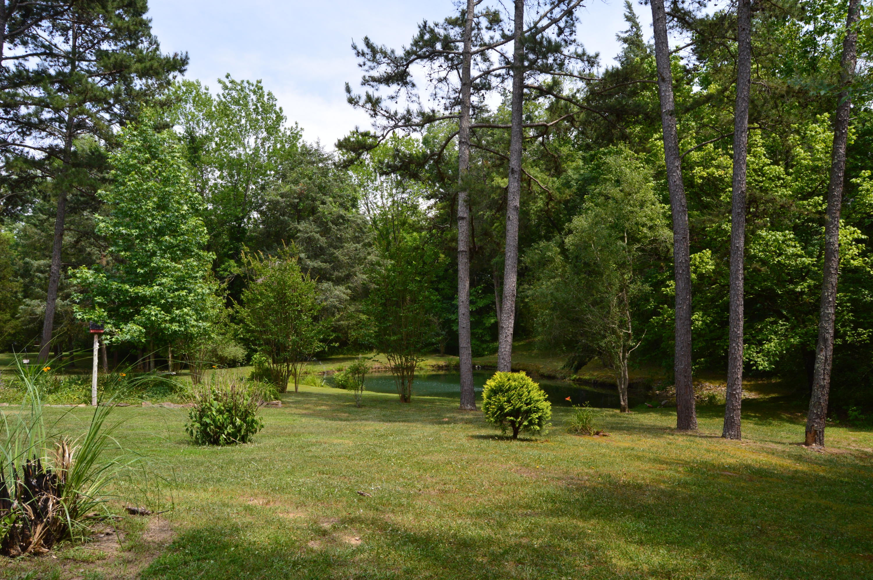207 Cunningham Drive Decatur, TN 37322 - Photo 2 of 20 Backyard