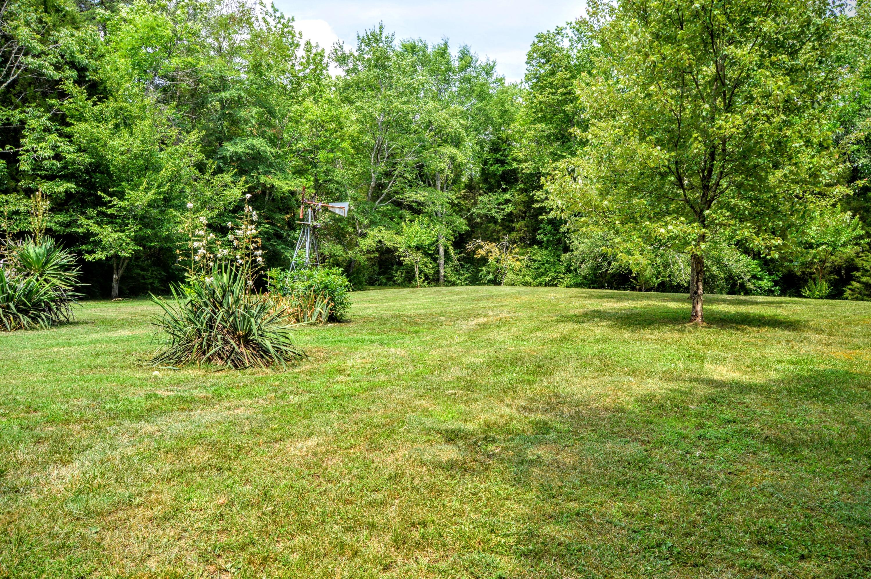 207 Cunningham Drive Decatur, TN 37322 - Photo 11 of 20 Gorgeous Acreage