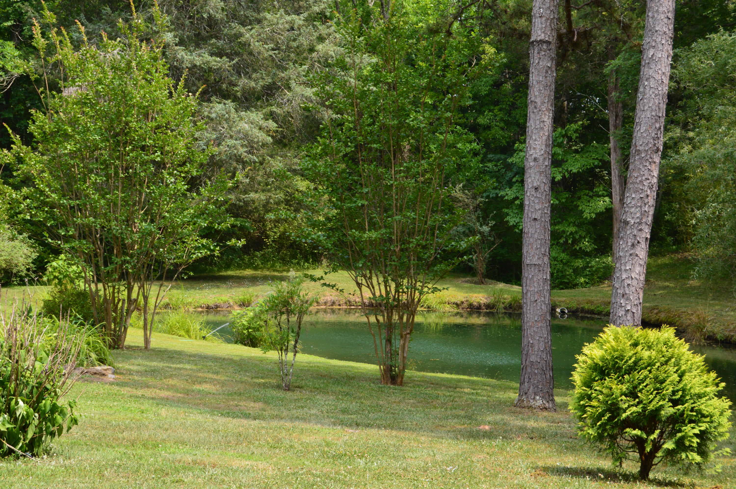 207 Cunningham Drive Decatur, TN 37322 - Photo 3 of 20 Spacious yard!