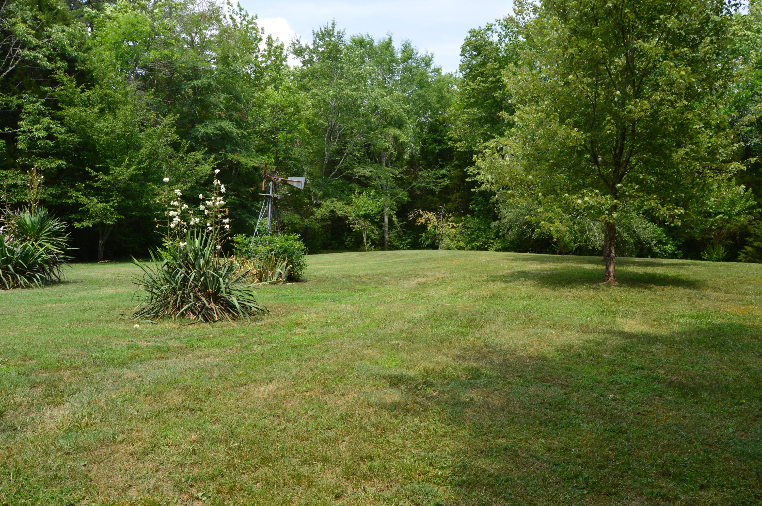 207 Cunningham Drive Decatur, TN 37322 - Photo 6 of 20 ...And, more space!