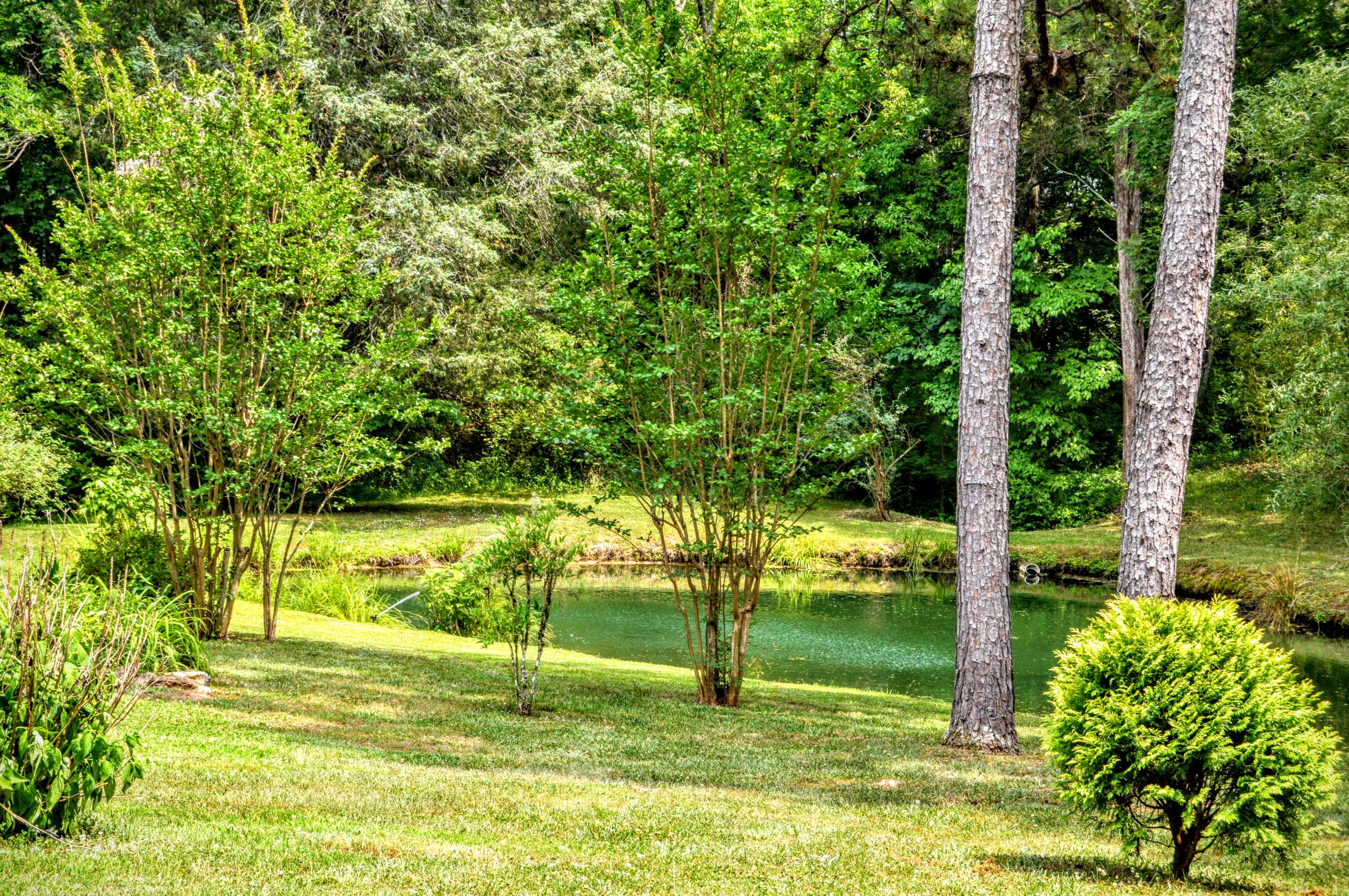 207 Cunningham Drive Decatur, TN 37322 - Photo 10 of 20 Private Pond