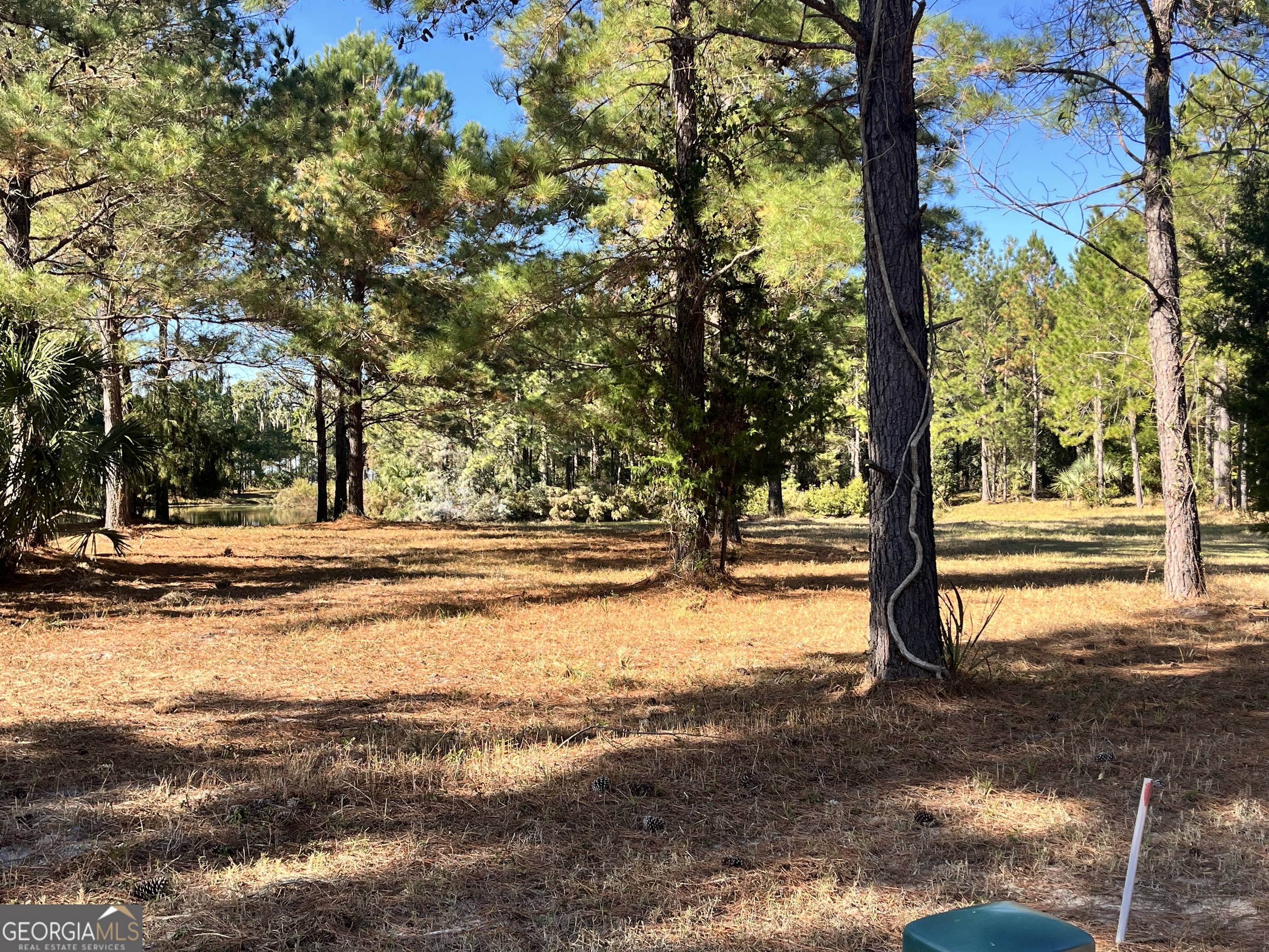 Lot 527 Beacon Pointe Parkway Waverly, GA 31565 - Photo 4 of 4 a view of road with large trees