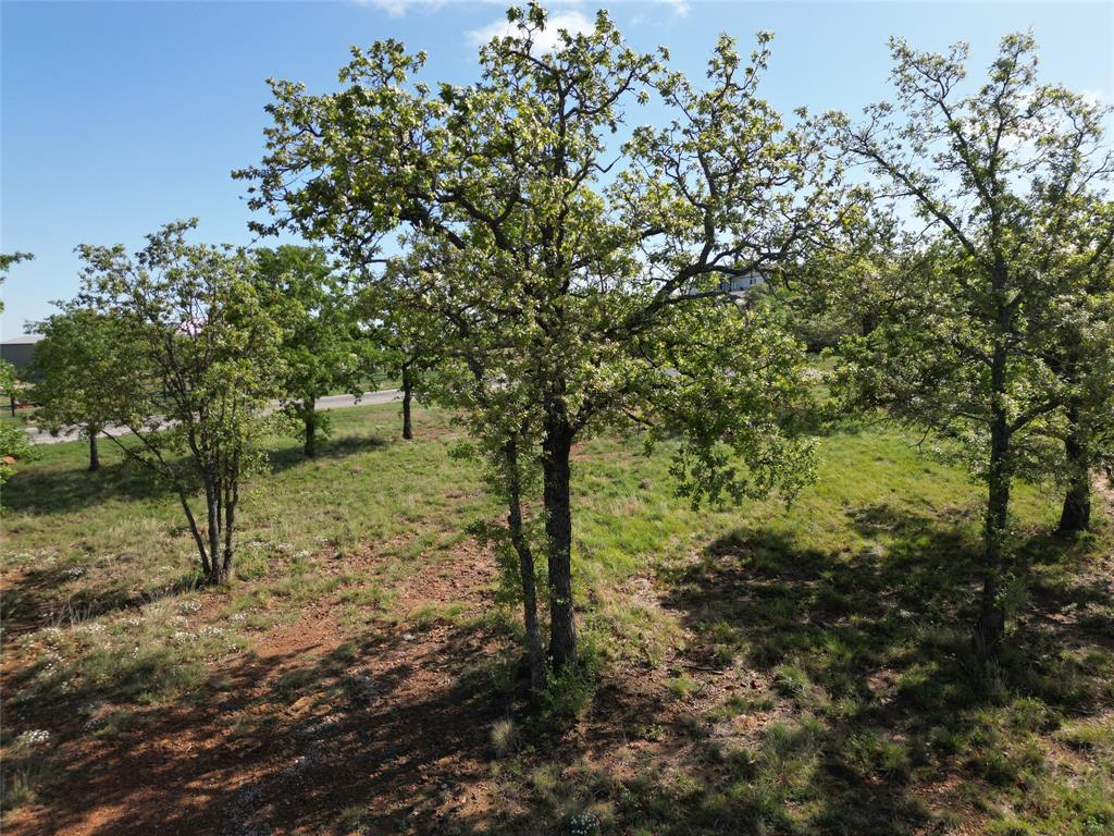 101 Overlook Drive Cisco, TX 76437 - Photo 4 of 10 a view of outdoor space with lots of trees