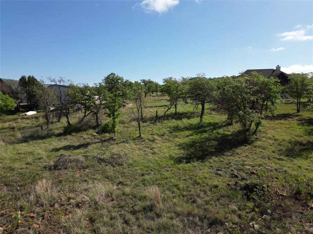 101 Overlook Drive Cisco, TX 76437 - Photo 5 of 10 a view of a green field with lots of bushes