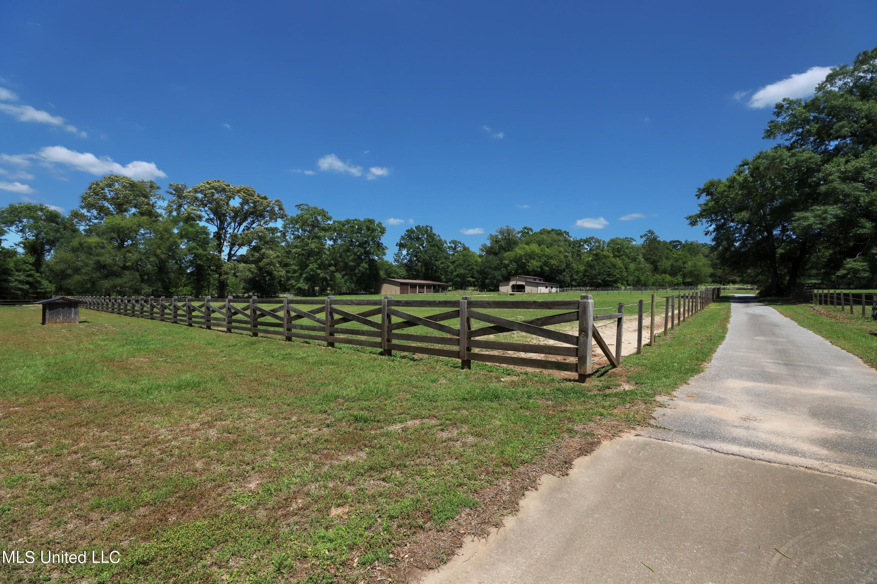 3218 Howell Tanner Chapel Road Lucedale, MS 39452 - Photo 21 of 42 Pasture
