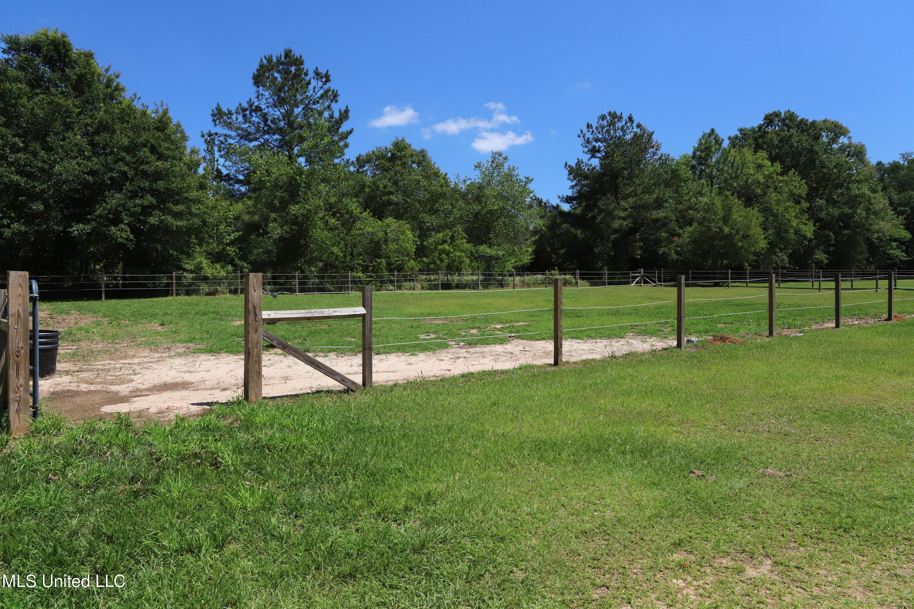 3218 Howell Tanner Chapel Road Lucedale, MS 39452 - Photo 34 of 42 Pasture