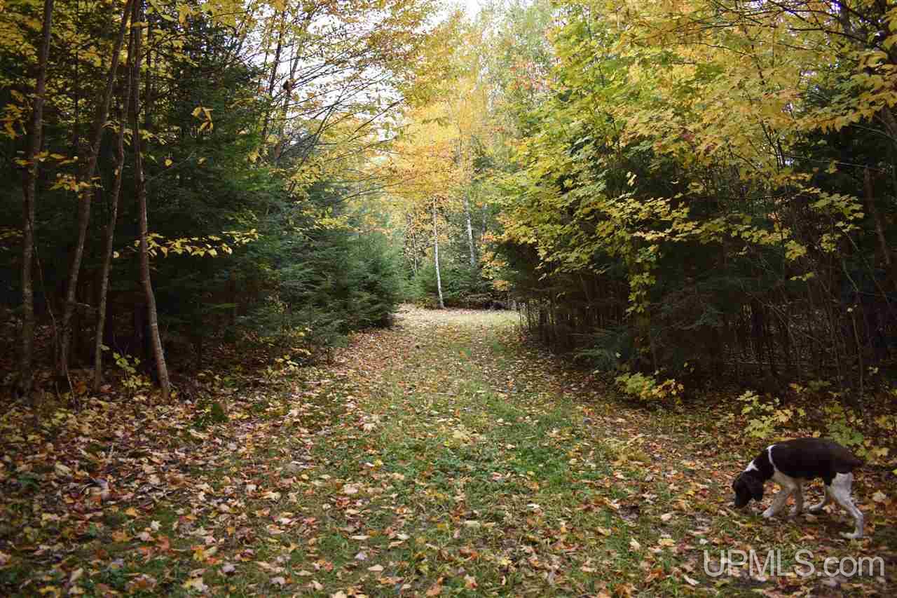 9-acres Deerton Road Deerton, MI 49822 - Photo 8 of 37 Gallery Image 8