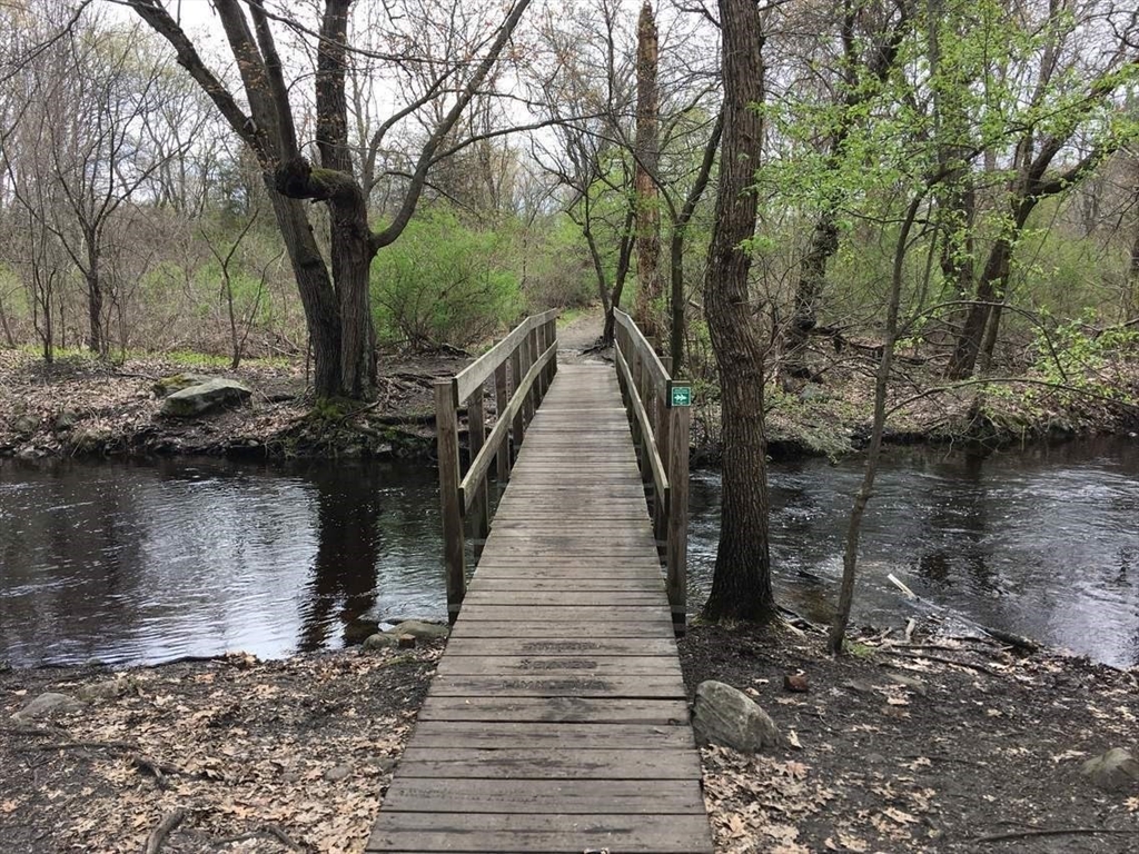 85 Trapelo Road, Unit 40 Waltham, MA 02452 - Photo 15 of 15 a picture of trees with wooden fence