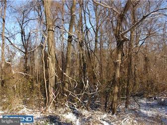 Lot 5 Chapel Hill Road Sinking Spring, PA 19608 - Photo 2 of 8