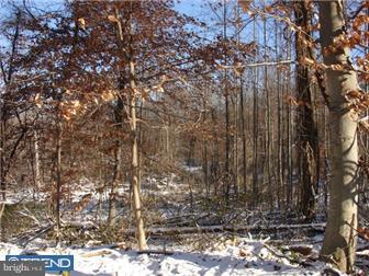 Lot 5 Chapel Hill Road Sinking Spring, PA 19608 - Photo 3 of 8