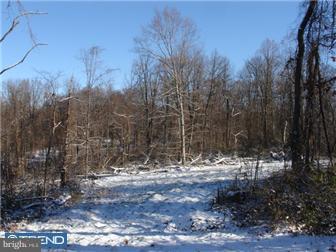 Lot 5 Chapel Hill Road Sinking Spring, PA 19608 - Photo 4 of 8