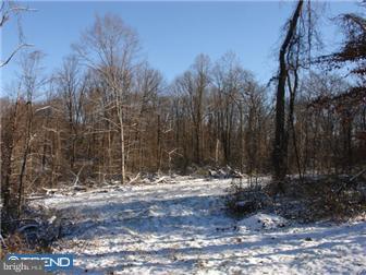 Lot 5 Chapel Hill Road Sinking Spring, PA 19608 - Photo 5 of 8