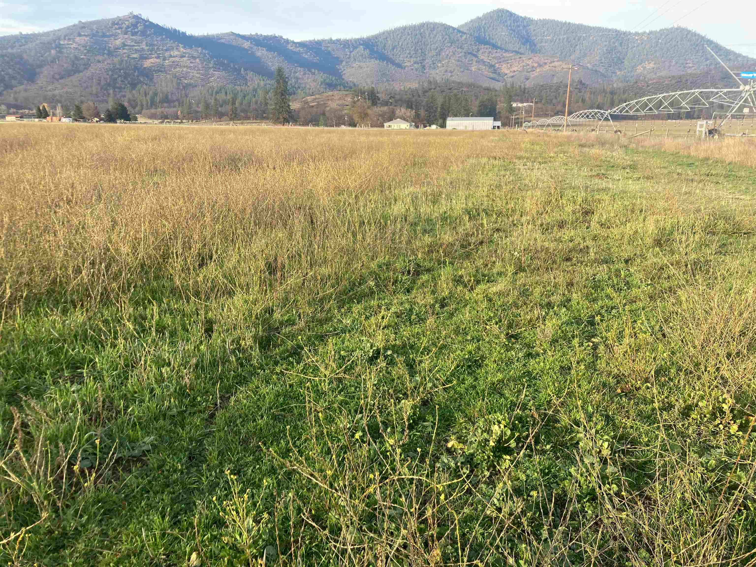 Nsa Scott River Road Fort Jones, CA 96032 - Photo 2 of 12 Gallery Image 2
