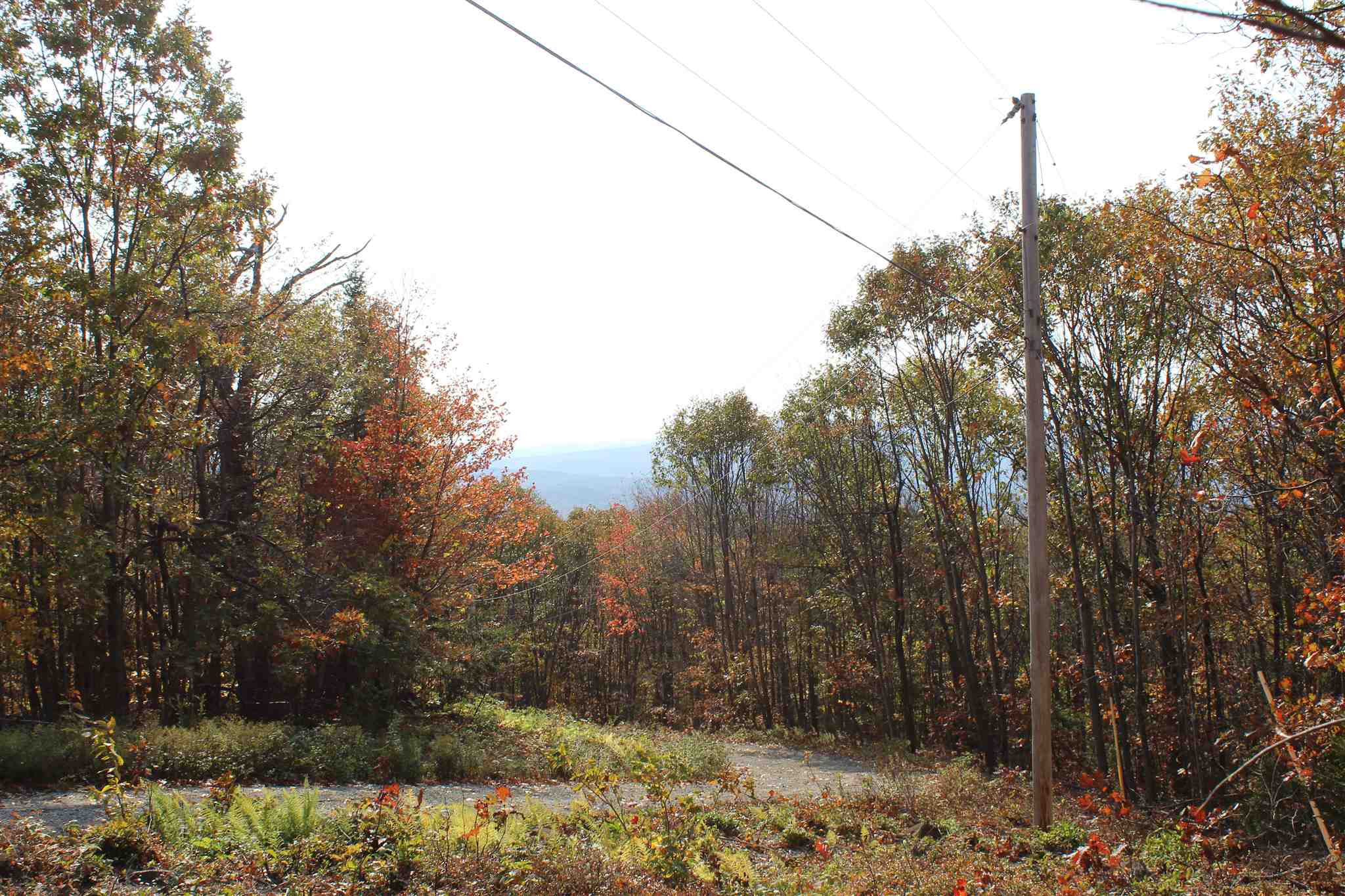 Lot 3 Hemlock Brook Road Bristol, NH 03222 - Photo 12 of 19 Gallery Image 12