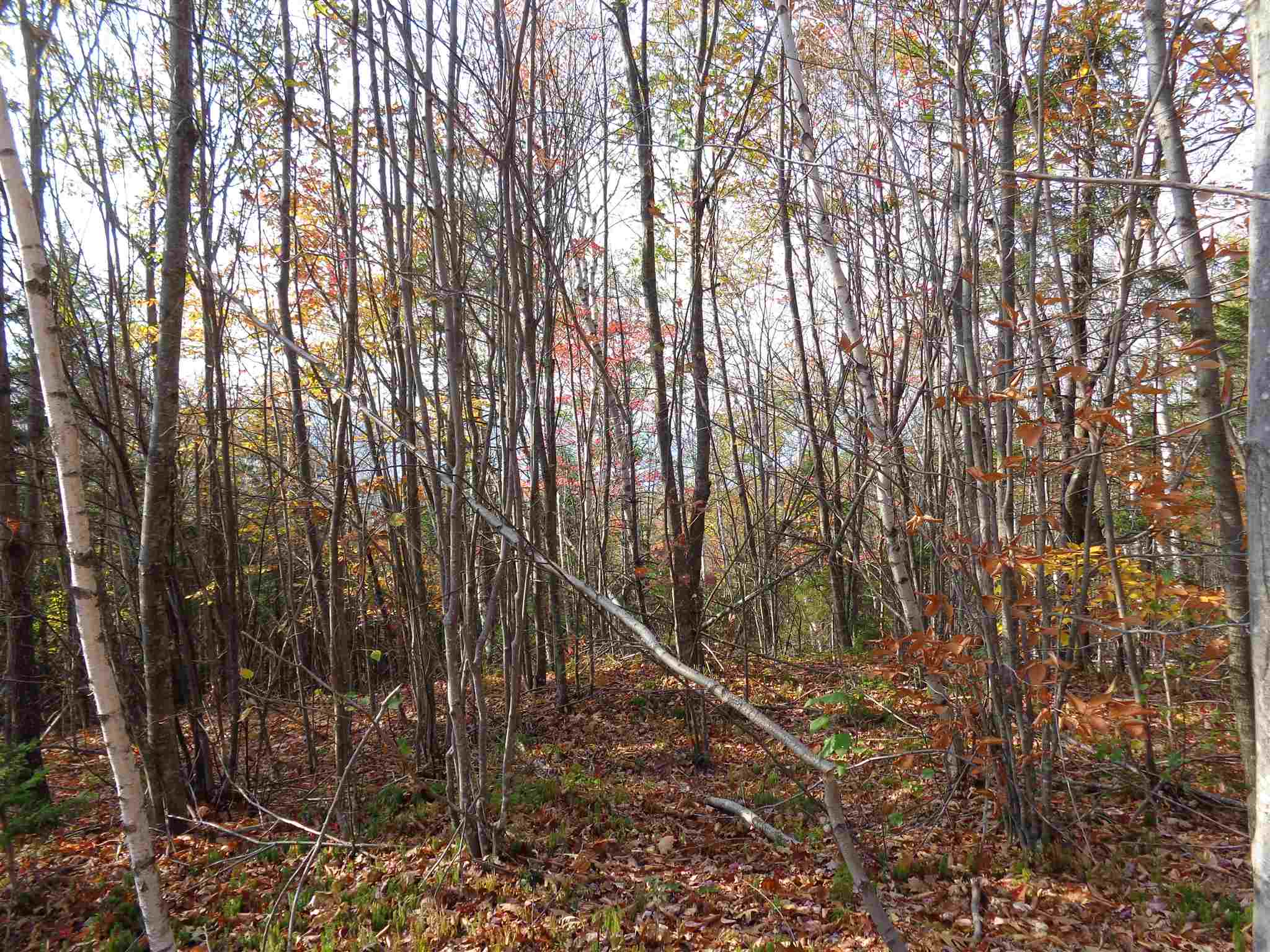 Lot 3 Hemlock Brook Road Bristol, NH 03222 - Photo 8 of 19 Gallery Image 8