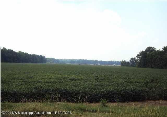 5.165 Nesbit Road Nesbit, MS 38651 - Photo 4 of 4 3