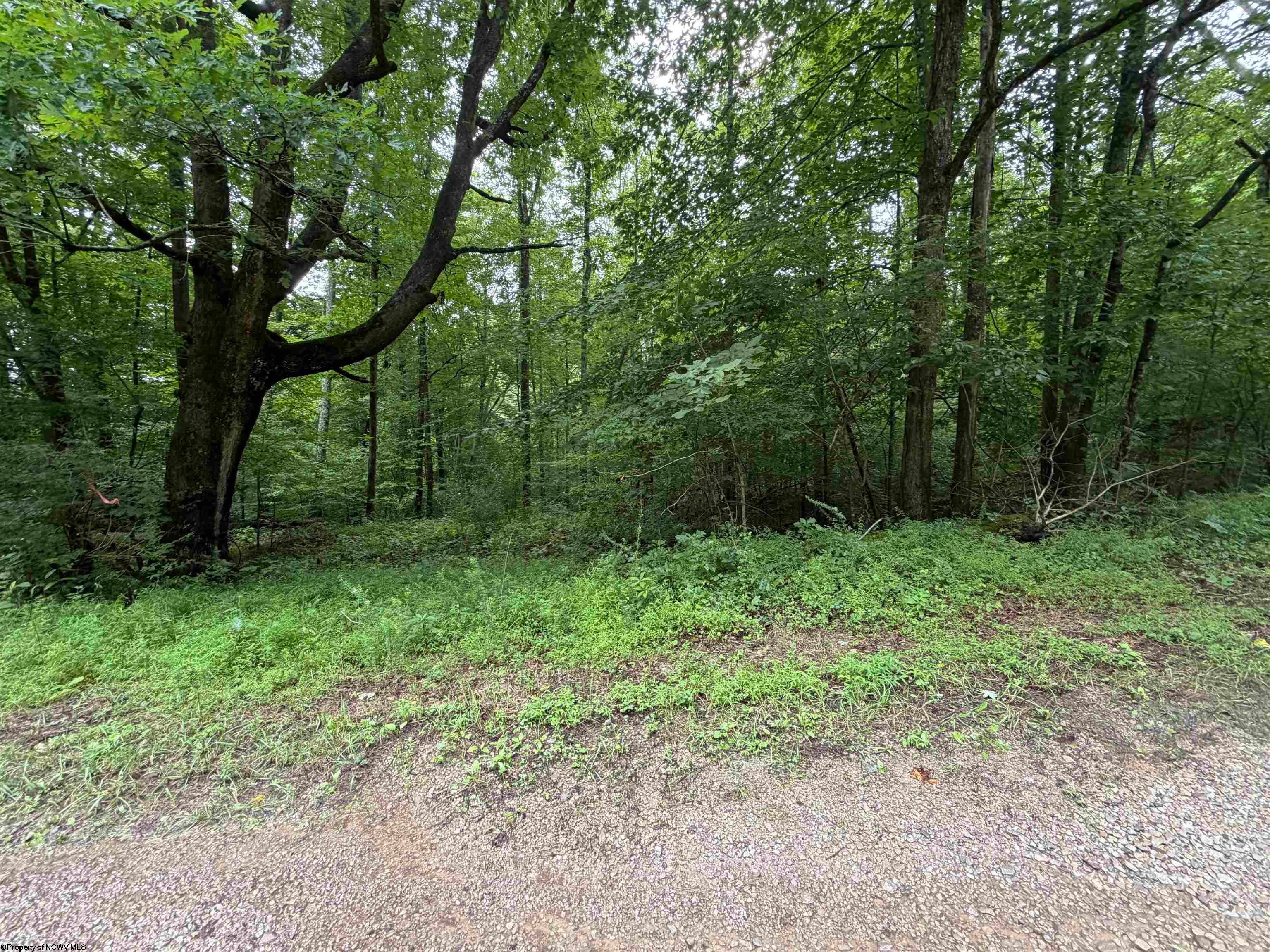 0 Copley Road Weston, WV 26452 - Photo 7 of 16 Gallery Image 7