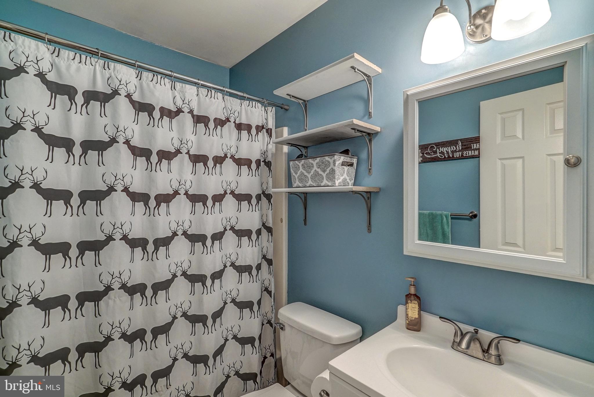 144 Buckner Road Bumpass, VA 23024 - Photo 21 of 46 Full Bathroom