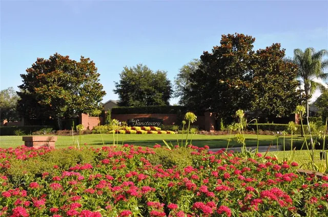 a view of park with large tree