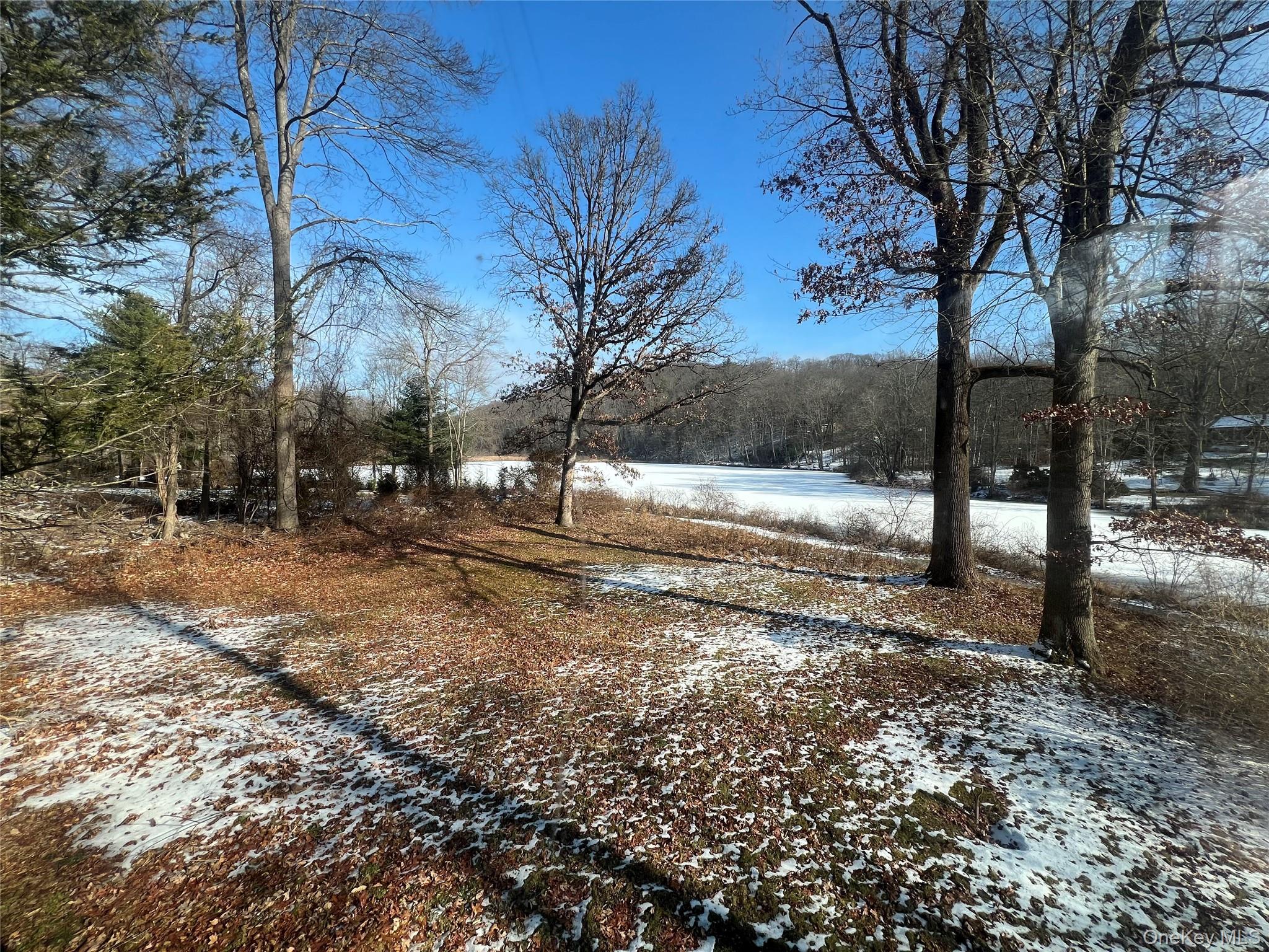 298 Old Albany Post Road Garrison, NY 10524 - Photo 15 of 18 a view of a yard with a tree