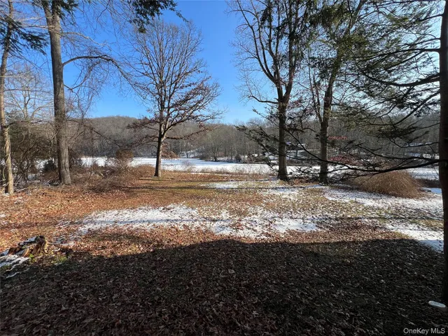 a view of yard covered with snow in yard