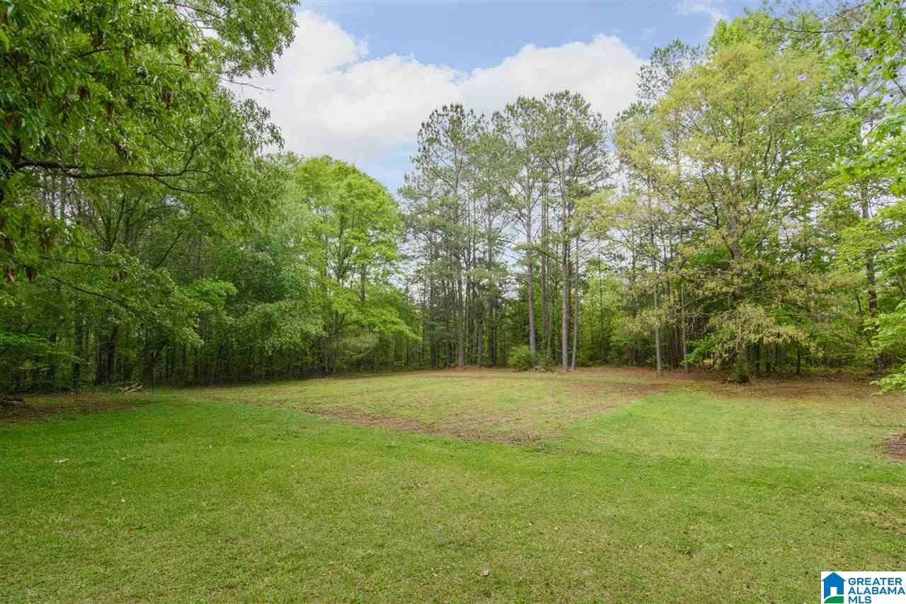 615 Dusty Hollow Road Columbiana, AL 35051 - Photo 44 of 44