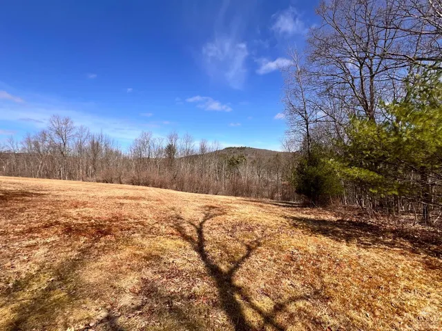 a view of a yard with trees in the background