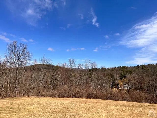 $40,000 | 0 County Route 13, Brainard, NY 12024