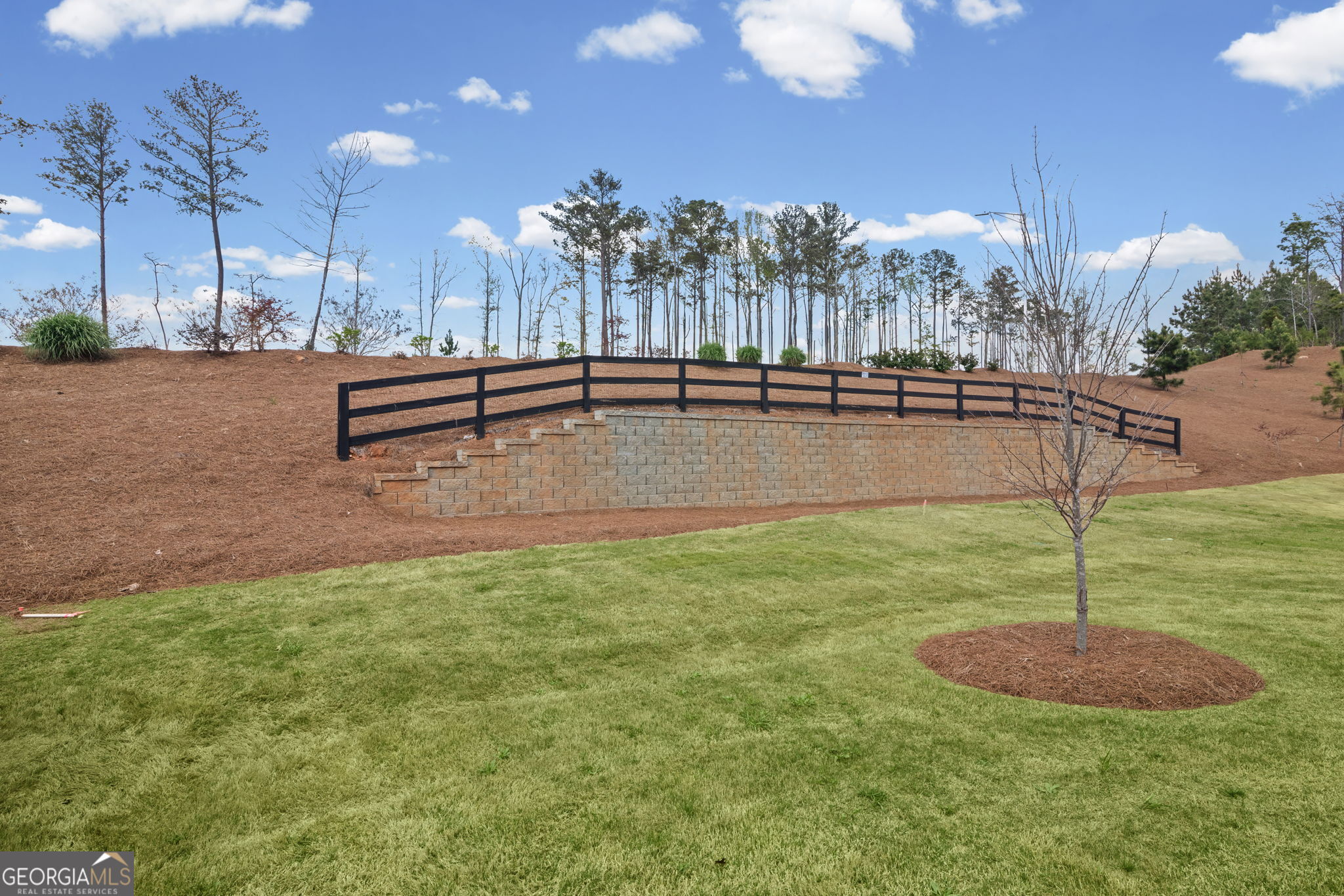 12 Russet Way Newnan, GA 30263 - Photo 39 of 45