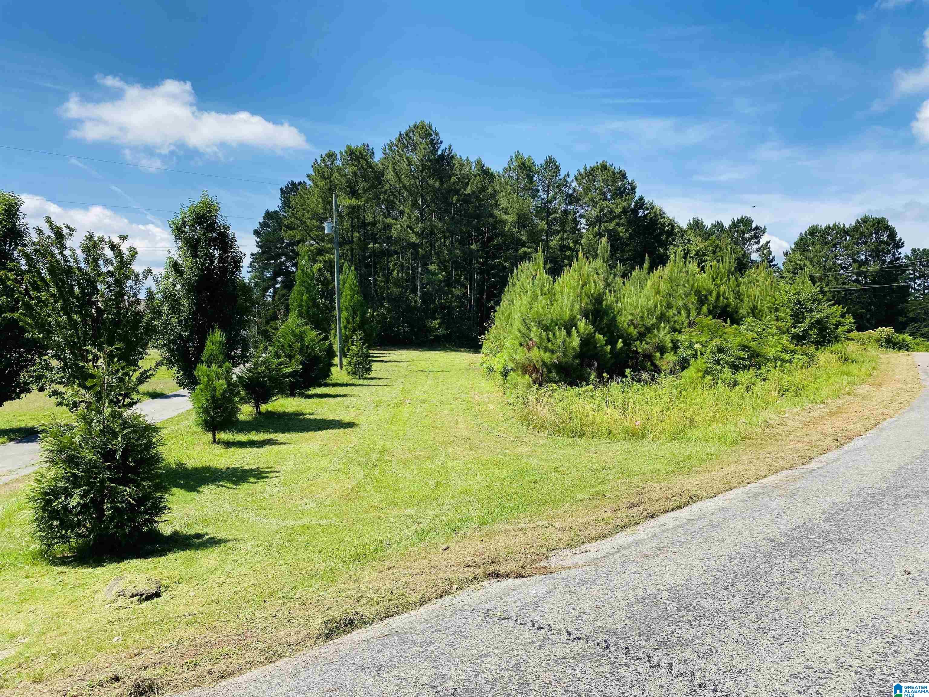 0 County Road 24 Springville, AL 35146 - Photo 8 of 8