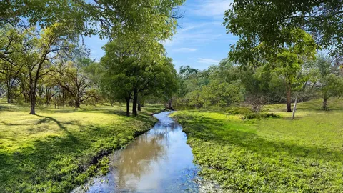 a view of a park with large trees