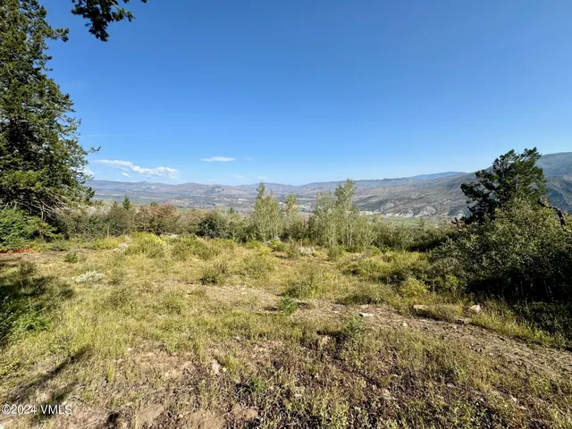 a view of a field of grass and trees