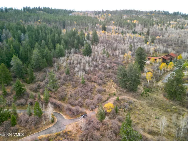 a view of a lot of trees and bushes