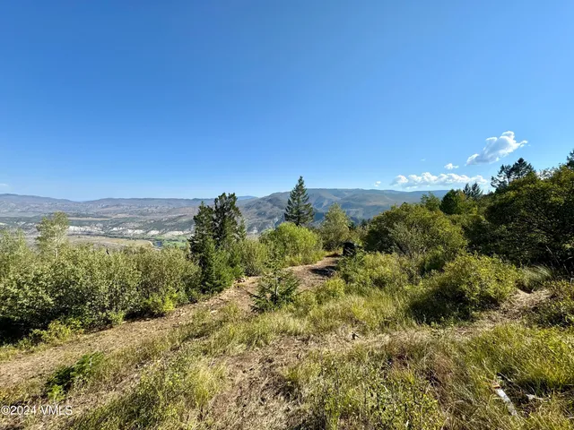 a view of a bunch of trees and bushes
