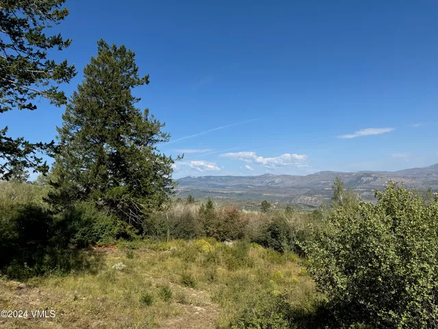 a view of a field with trees in the background