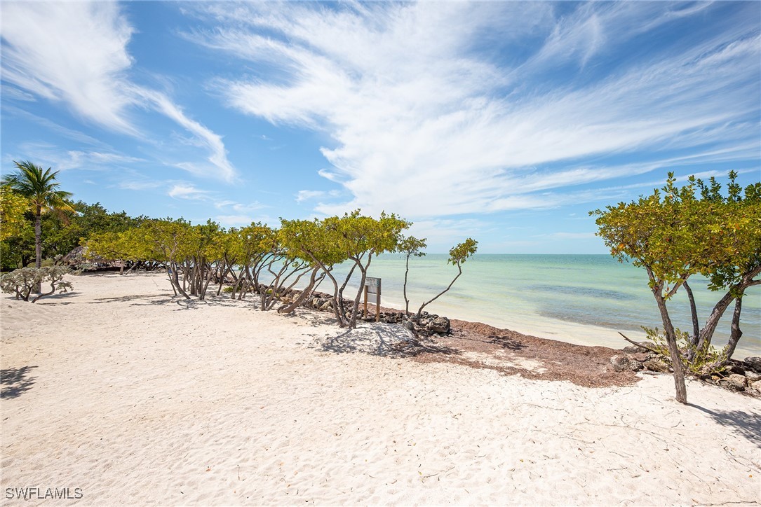 189 Gulfview Drive Islamorada, FL 33036 - Photo 48 of 49 a view of a backyard of a house