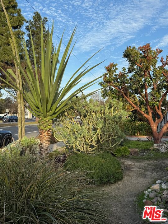 5128 East Wardlow Road Long Beach, CA 90808 - Photo 31 of 35 a view of a plant in a garden