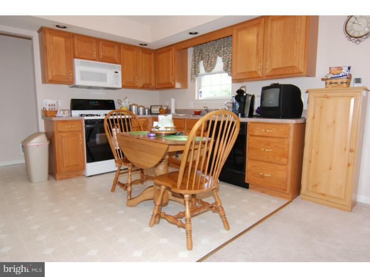 251 Bainbridge Circle Sinking Spring, PA 19608 - Photo 4 of 9 Kitchen