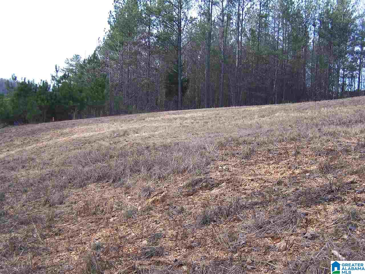 Alabama Avenue, Unit 4 Oneonta, AL 35121 - Photo 3 of 10
