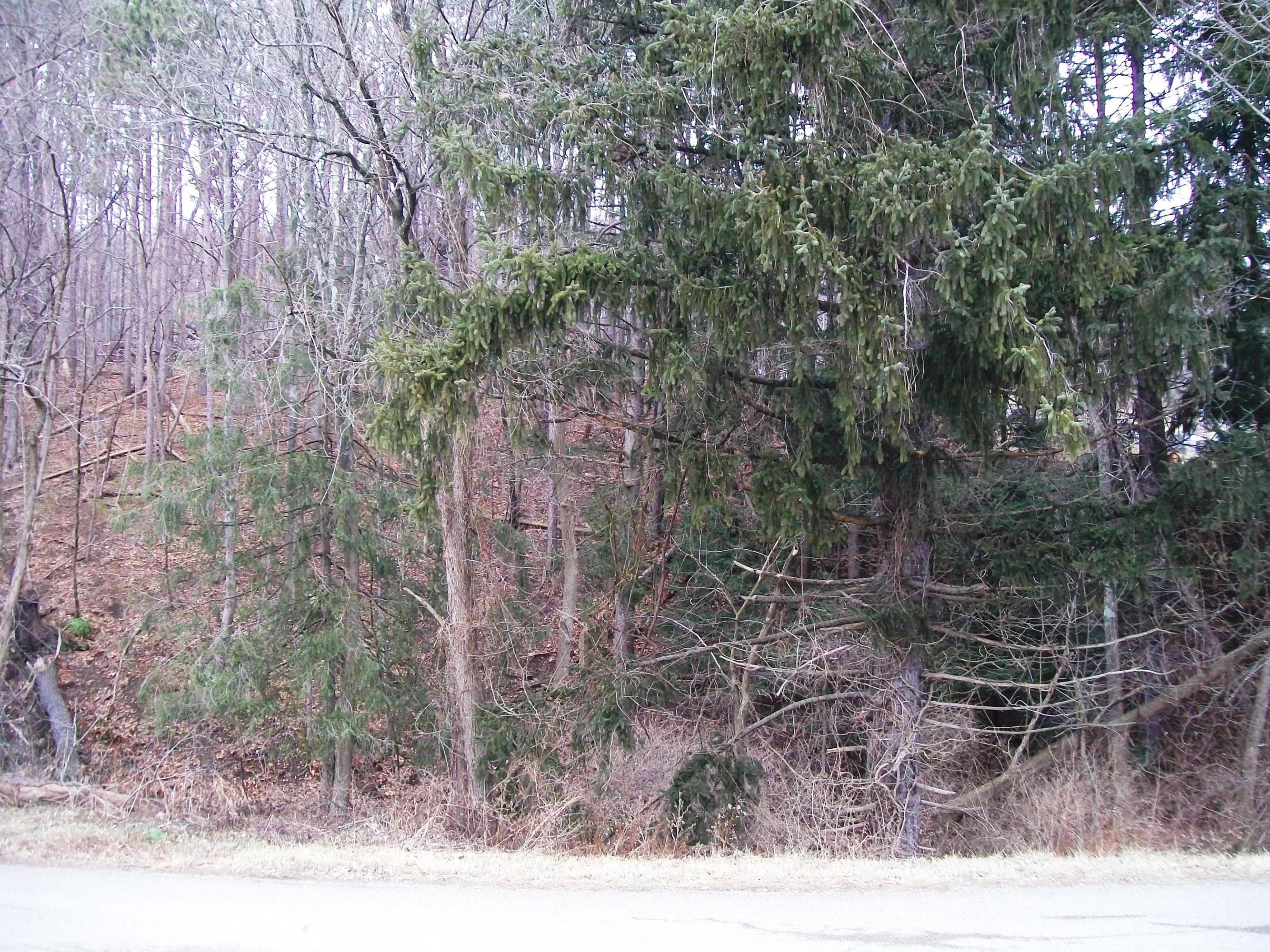 0 Linnville Road Southeast Newark, OH 43056 - Photo 3 of 4