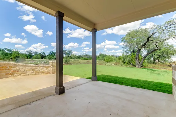 a view of a garden with a tree